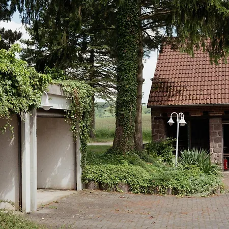Idyllische Ferienwohnung Im Kalletal Exterior photo
